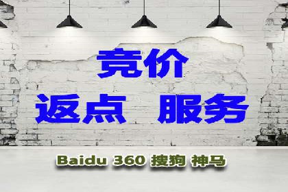 探索百度推广代理在电商行业的成功应用